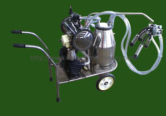 Einzelne Kuh-Melkmaschine 50Kpa des Eimer-12cows/H elektrisch für Kühe