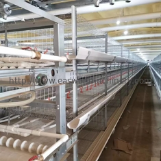 Sperrt automatische Ausrüstungs-Hühnerstahlschicht der Geflügelfarm-Q235 für Legehennen ein