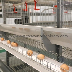 Sperrt automatische Ausrüstungs-Hühnerstahlschicht der Geflügelfarm-Q235 für Legehennen ein