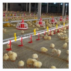 Hühnerstall-automatische Geflügelfarm-Ausrüstung mit Lüftungsanlage