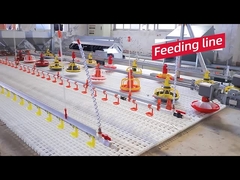 Heißer Verkaufs-automatische Hühnerstallentwurfs-Geflügelfarmausrüstung