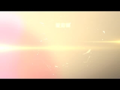 BHF2-2500 Türrahmen-Pressemaschine