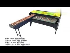 Eiersortiermaschine