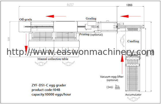 10,000 Eggs/hour Stainless Steel Egg Grading Sorting Machine From China