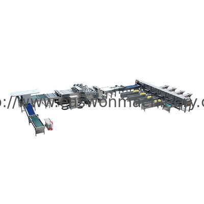 Egg Washing Grading Packing Machine Durable Large-Scale for Farm Processing Equipment