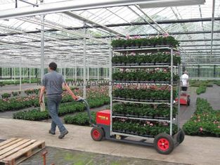 Fahrbare Gartenpflanze-Topf-Stahllaufkatze, Blumen-Topf-Regal 500kgs H1900mm