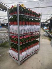dänischer Laufkatze ISO-Gartenpflanze-Wagen der Blumen-53.1x22.2x74.8inch
