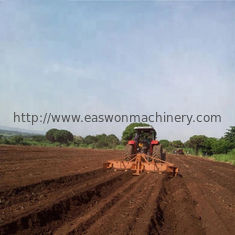 Traktor angebrachte der Manioka-8Ha/Day Reihen Traktor gezeichnetes Ridger Pflanzer-der Maschinen-4