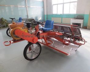 Landwirtschaft 6 Reihen Paddy Transplanter Machine, 300mm Reihen-Raum Mini Rice Transplanter